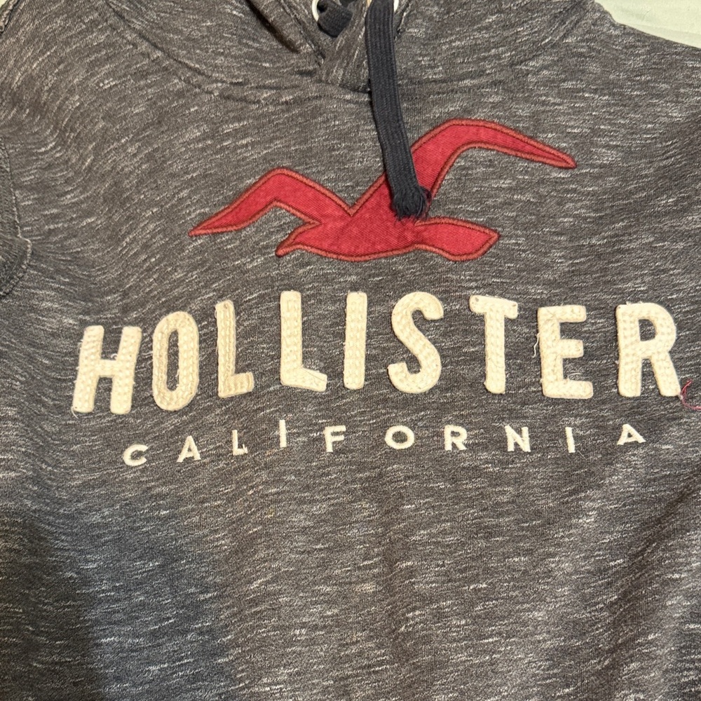 Hollister Charcoal Hoodie with Red Emblem